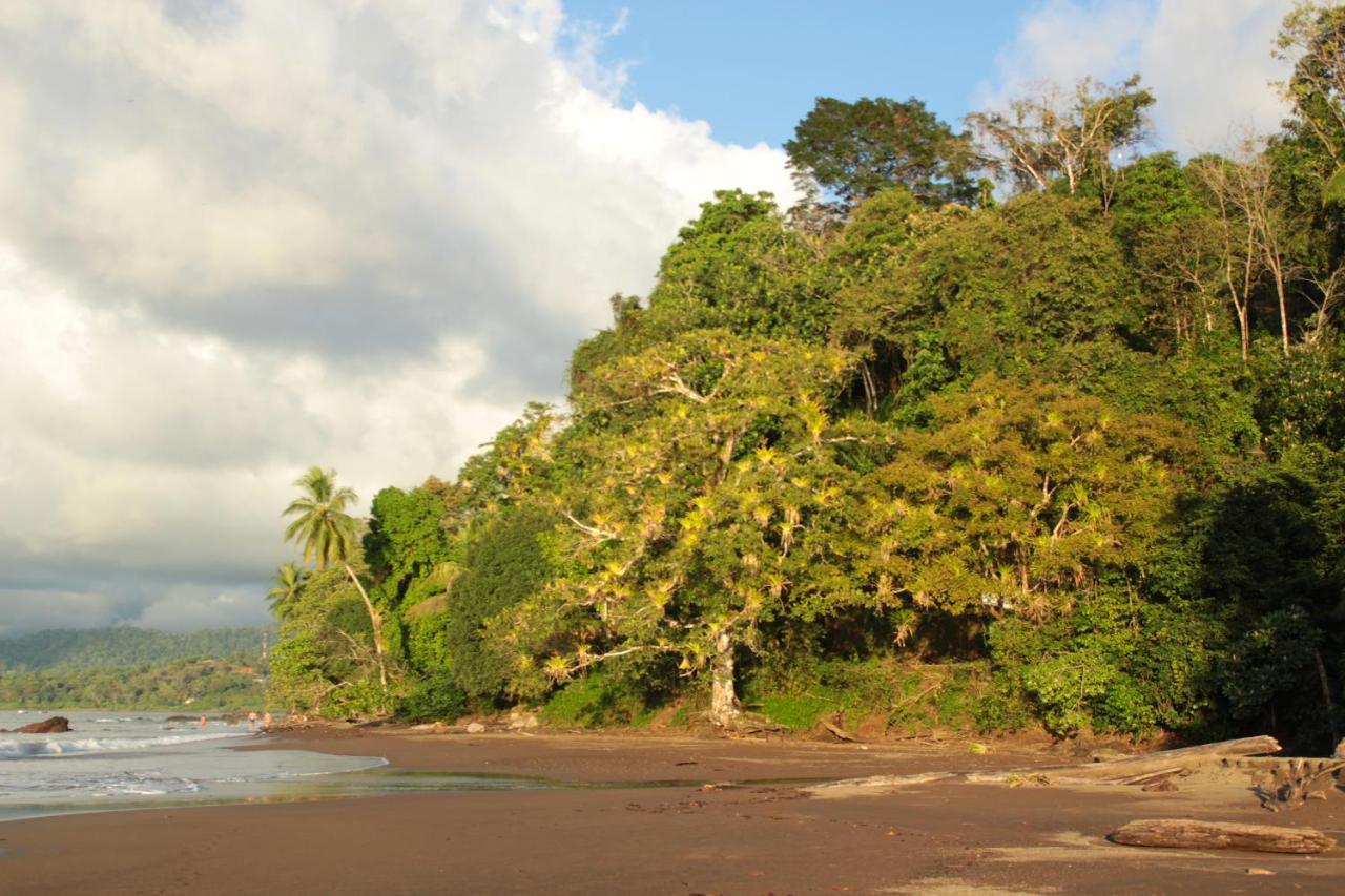مبيت وإفطار Drakes Bay Casa Horizontes Corcovado المظهر الخارجي الصورة