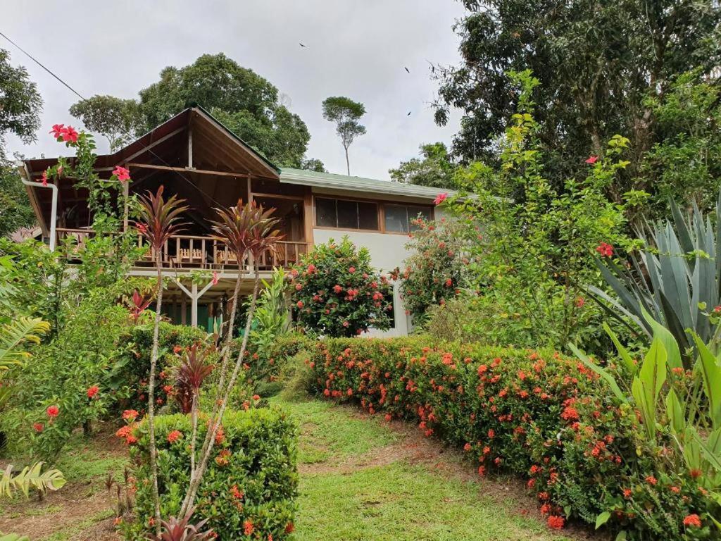 مبيت وإفطار Drakes Bay Casa Horizontes Corcovado المظهر الخارجي الصورة